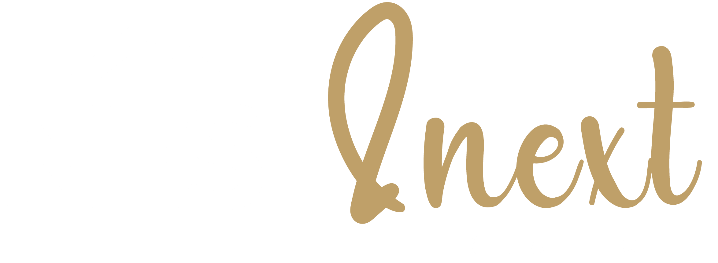 Nest & Next Realtors